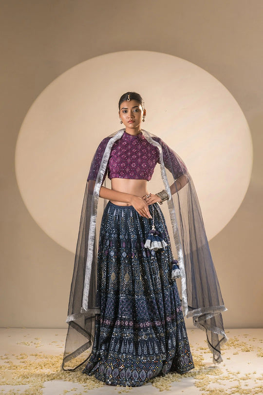 Blue & Plum Net Swarovski Sitara Lehenga