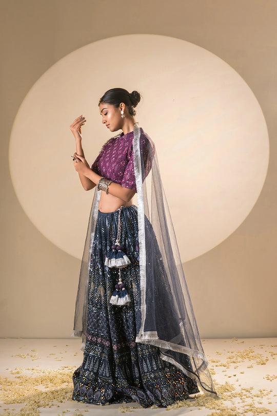 Blue & Plum Net Swarovski Sitara Lehenga